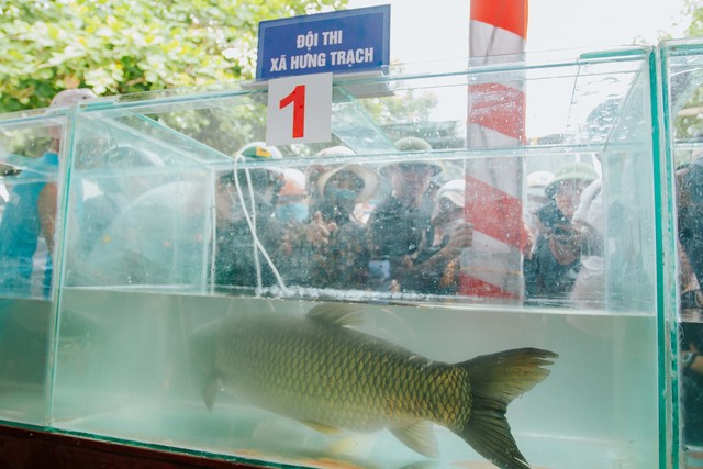 Độc đáo Hội thi cá trắm sông Son ở Quảng Bình - Ảnh 8.