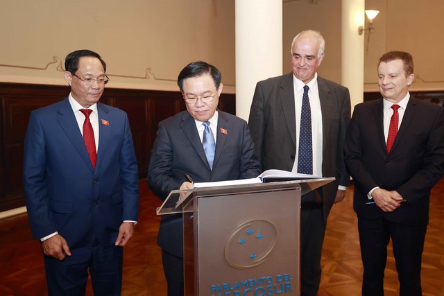Sớm khởi động đàm phán Hiệp định Thương mại tự do Việt Nam - MERCOSUR  - Ảnh 2.