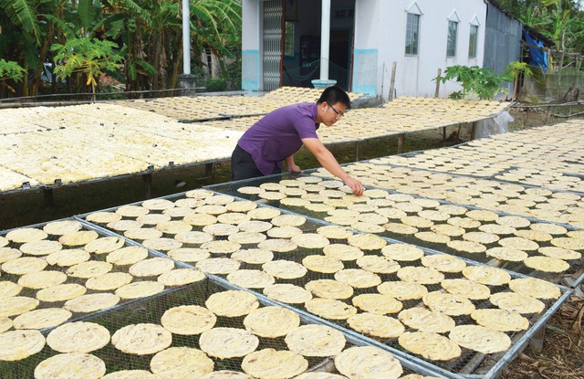 Sản phẩm chuối khô truyền thống cũng đang được các chủ thể đầu tư nâng chất lượng