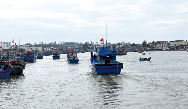 Quảng Ngãi: Xóa tên 244 tàu cá trong sổ đăng ký quốc gia - Ảnh 1.