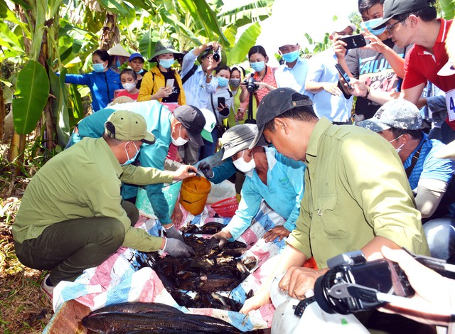 Trình diễn chụp đìa, một hoạt động đặc trưng của vùng đất U Minh Hạ, tại sự kiện Hương rừng U Minh