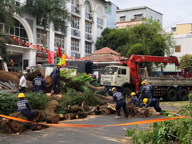 Bệnh viện Nhi đồng 2 TP.HCM thông tin tình hình sức khỏe học sinh bị cây đè - Ảnh 1.