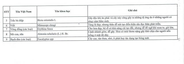 Cây gì bị cấm trồng trong trường học? - Ảnh 4.