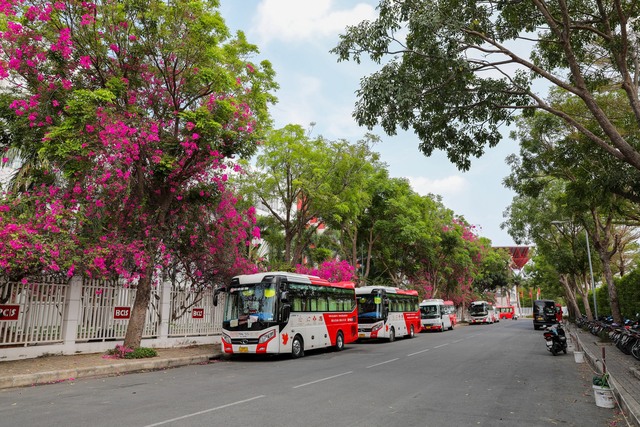 Không nên trồng cây gì trong trường học để tránh những chuyện đau lòng?  - Ảnh 4.