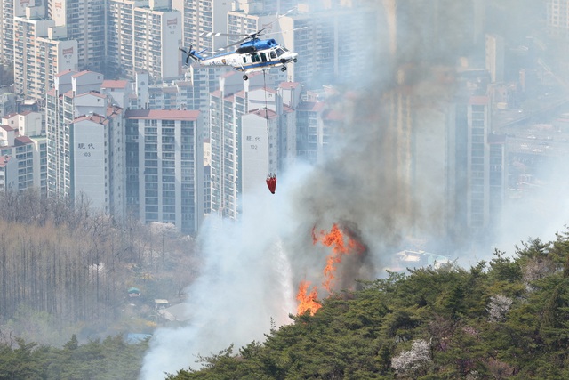 Hàn Quốc chật vật khống chế cháy rừng giữa thủ đô - Ảnh 1.