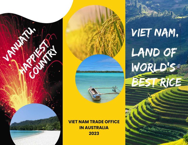 Đưa gạo ngon nhất thế giới của Việt Nam đến Vanuatu - Ảnh 1.
