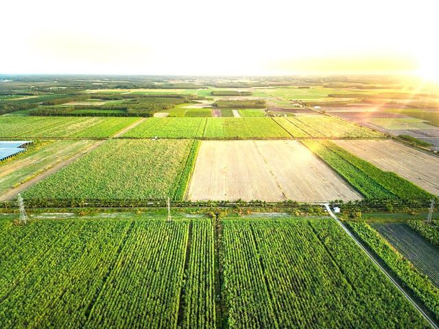 Phát triển vùng nguyên liệu hiện đại bền vững theo hướng mô hình kinh doanh kinh tế nông nghiệp thông minh, tích hợp, TTC AgriS tiến tới khẳng định vị thế là &quot;Nhà cung cấp các Giải pháp nông nghiệp công nghệ cao trên nền tảng phát triển bền vững&quot;