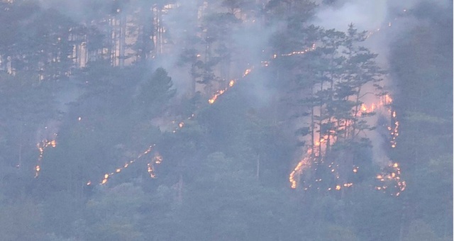 Đà Lạt: Cháy rừng phòng hộ khu vực đèo Prenn suốt hơn 5 giờ - Ảnh 3.
