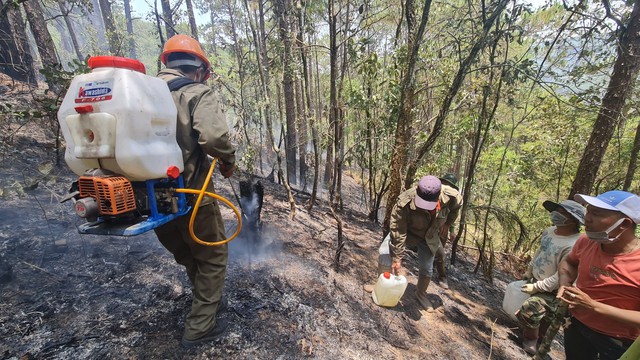 Đà Lạt: Vác từng can nước lên đồi cao chữa cháy rừng khu vực đèo Prenn - Ảnh 4.