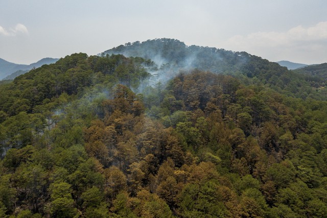 Đà Lạt: Vác từng can nước lên đồi cao chữa cháy rừng khu vực đèo Prenn - Ảnh 8.