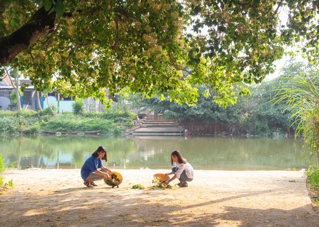 Dịu dàng hoa bún tháng ba bên dòng Kiến Giang lung linh, thơ mộng - Ảnh 16.