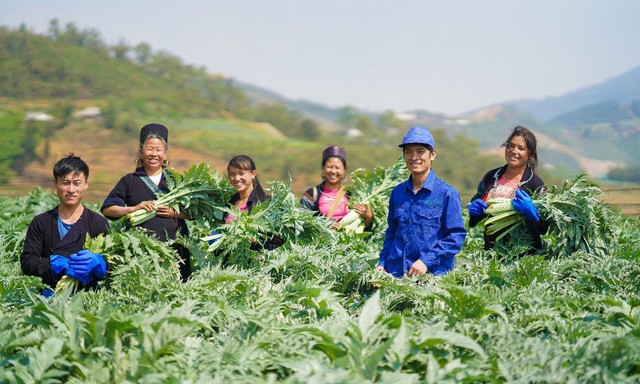 Việt Nam thúc đẩy phát triển công nghiệp dược - Ảnh 1.