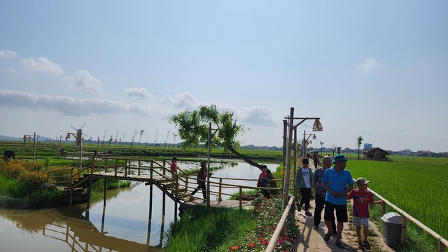 Mô hình trồng lúa kết hợp du lịch giữa lòng TP.Hà Tĩnh hút khách dịp nghỉ lễ - Ảnh 7.