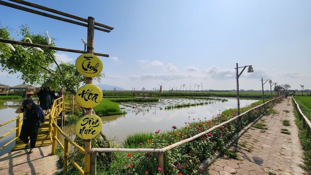 Mô hình trồng lúa kết hợp du lịch giữa lòng TP.Hà Tĩnh hút khách dịp nghỉ lễ - Ảnh 2.