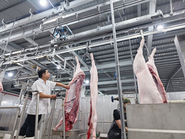 Vì sao tiêu thụ thịt heo của TP.HCM giảm 2.646 con? - Ảnh 1.