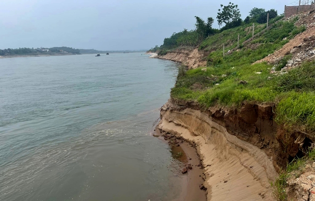 Bờ sông Đà ở Phú Thọ sạt lở vào đất liền 70m, 150 hộ dân lo lắng - Ảnh 2.