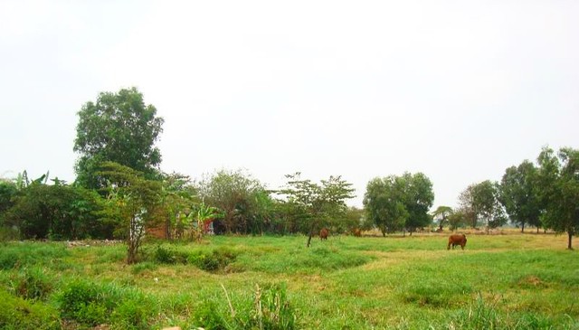 Gamuda Land hành trình ấn tượng hồi sinh ‘vùng đất bị lãng quên’ phía Tây Sài Gòn - Ảnh 1.