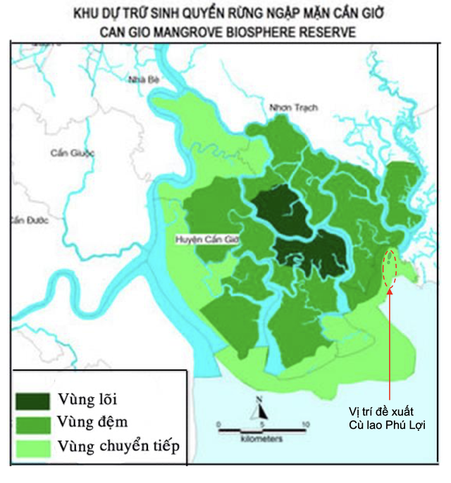 Siêu cảng tỉ USD có 'động tới' khu dự trữ sinh quyển Cần Giờ? - Ảnh 2.