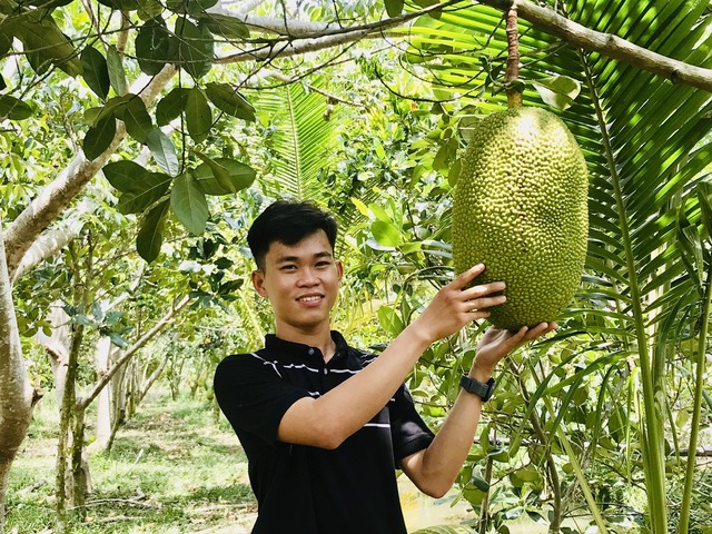 Thạch Sanh 'biến' vườn mít thành nông trại du lịch - Ảnh 2.