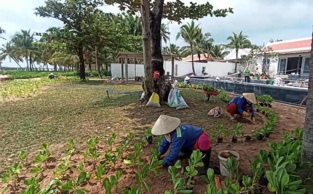 Trồng mới hàng loạt cây từ những bước 'chạy xanh' - Ảnh 2.