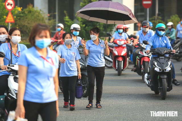 Tình hình tham gia bảo hiểm xã hội TP.HCM tháng 5 - Ảnh 1.