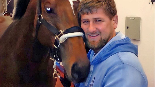 Tình báo Ukraine giúp lãnh đạo Chechnya 'giải cứu' ngựa cưng khỏi lệnh trừng phạt ở Czech? - Ảnh 1.
