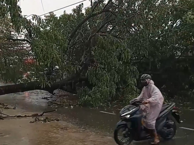 Ninh Thuận: Mưa lớn kèm theo lốc xoáy làm tốc mái nhiều ngôi nhà - Ảnh 2.