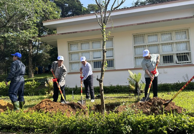 Sinh viên Trường ĐH Đà Lạt trồng hàng ngàn cây xanh - Ảnh 4.