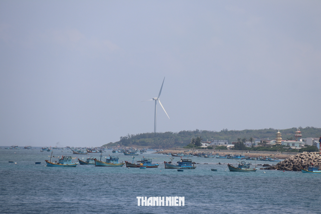 Đánh bắt và hậu cần nghề cá vẫn là &quot;trụ cột&quot; trên đảo Phú Quý - Ảnh 2.