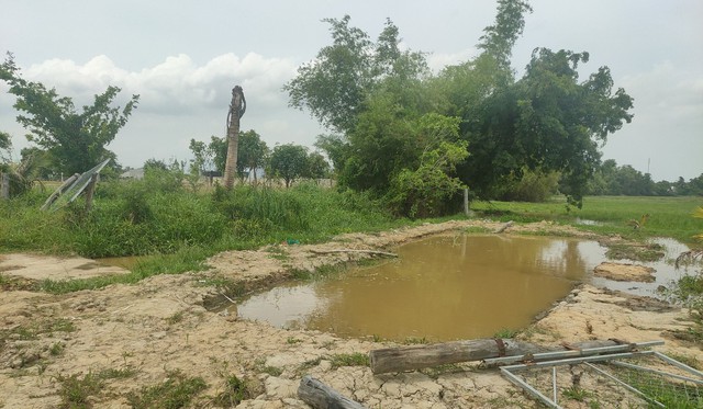 Ninh Thuận: 3 chị em ruột tử vong do đuối nước ở hồ nước phái sau nhà - Ảnh 2.