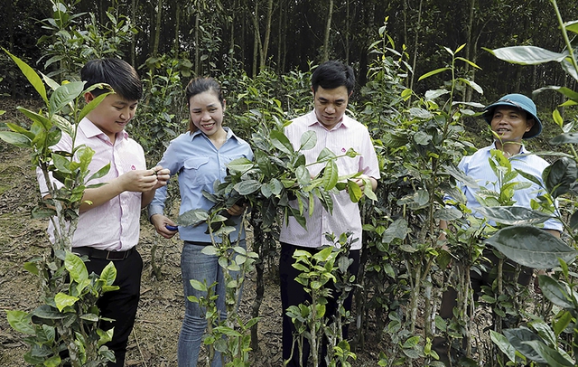 Cán bộ NHCSXH huyện Anh Sơn thường xuyên xuống cơ sở lắng nghe tâm tư nguyện vọng của hộ vay