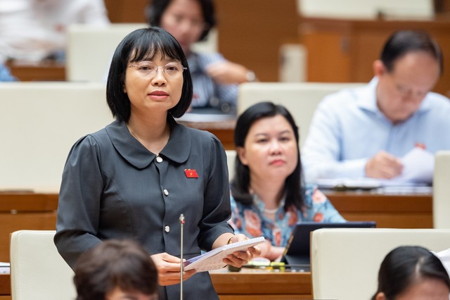 'Tiêu chuẩn đại biểu Quốc hội chỉ 100.000 đồng một cuộc giám sát thôi' - Ảnh 1.