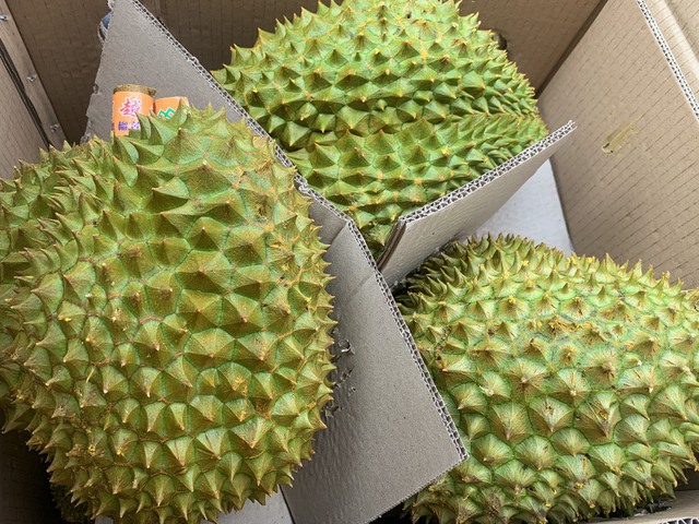 Sầu riêng tươi xuất khẩu được 'quản' bằng cơ chế kiểm soát riêng- Ảnh 1.