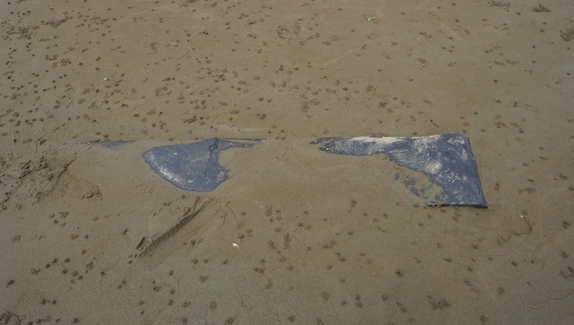 5 bàn tay trên bãi biển Hải Tiến bị sóng đánh trơ đinh - Ảnh 3.