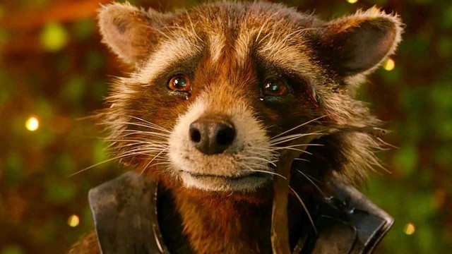 ‘Guardians of the galaxy 3’: Chào kết trọn vẹn cho Đội Vệ binh dải ngân hà - Ảnh 9.