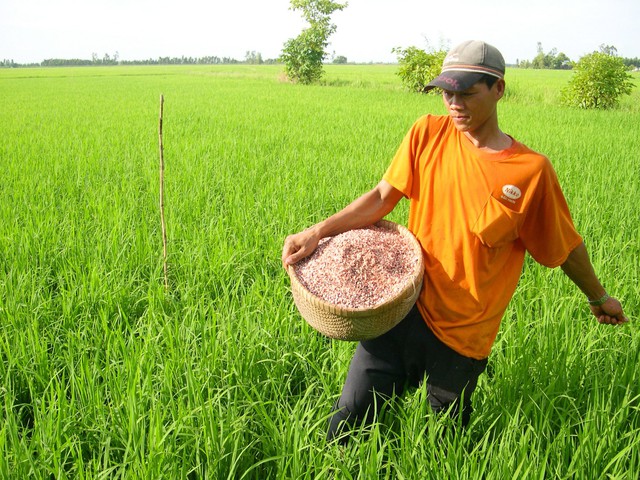 Giá phân bón diễn biến ra sao khi nông dân đang vào vụ sản xuất? - Ảnh 1.