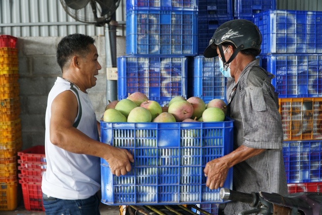 H.Cam Lâm sẽ chuyển trên 559 ha đất trồng xoài, trồng lúa... sang đất phi nông nghiệp - Ảnh 2.