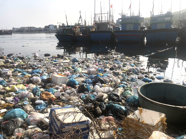 Bạn đọc viết: Nan giải nạn rác thải ở cảng cá Sa Huỳnh - Ảnh 1.