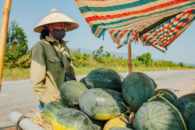 Quảng Bình: Dưa hấu rớt giá, nông dân lo một mùa vụ lỗ - Ảnh 2.