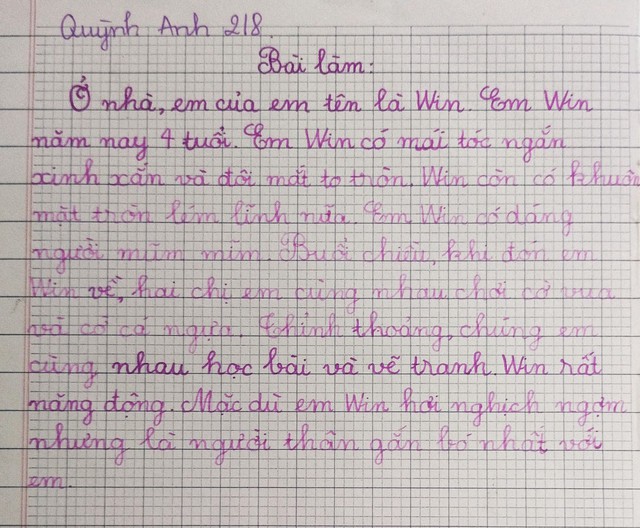Những bài tập làm văn tiểu học được khen giàu cảm xúc - Ảnh 3.