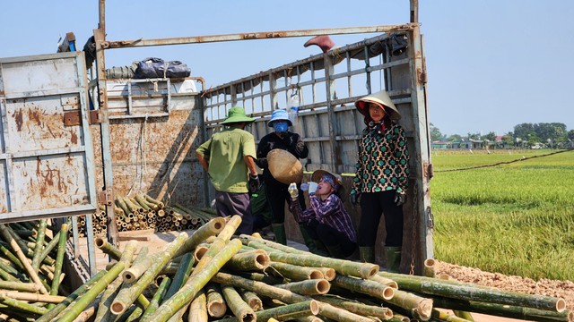 Hà Tĩnh: Công nhân 'đội' nắng nóng thi công cao tốc Bắc - Nam - Ảnh 9.