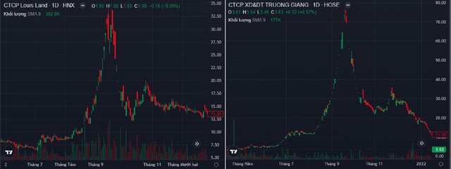 Thao túng chứng khoán trăm tỉ, Chủ tịch Louis Holdings bị đề nghị năm tù - Ảnh 3.