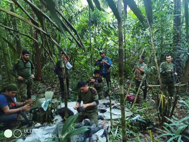 Hơn một tháng sau tai nạn máy bay, Colombia tìm thấy 4 em bé trong rừng - Ảnh 1.