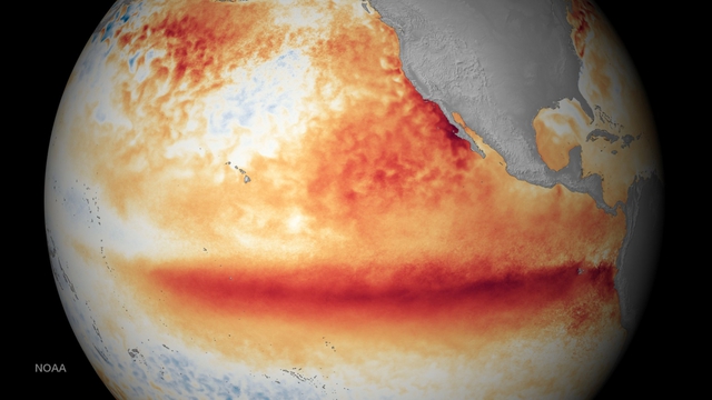 El Nino đã xuất hiện - Ảnh 1.