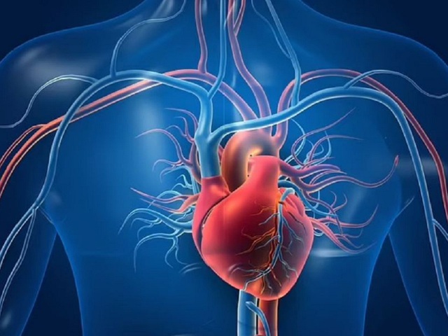 Dấu hiệu nào cảnh báo cơ thể đang có nhịp tim bất thường ? - Ảnh 1.