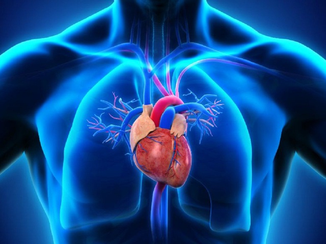 4 cơn thắt đau ngực không phải đau tim nhưng vẫn gây đe dọa tính mạng - Ảnh 1.