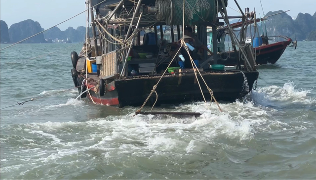 Quảng Ninh: Tàu giã cào công khai tàn sát môi trường vịnh Hạ Long  - Ảnh 2.