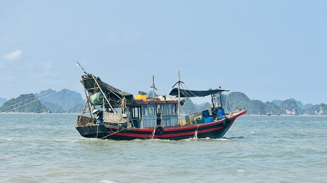 Quảng Ninh: Tàu giã cào công khai tàn sát môi trường vịnh Hạ Long  - Ảnh 4.