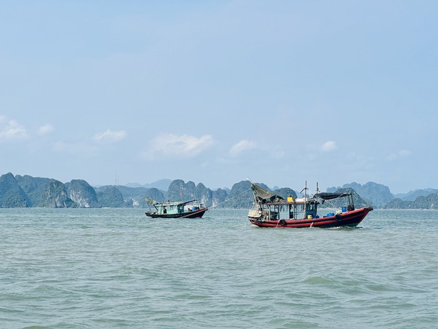 Quảng Ninh: Tàu giã cào công khai tàn sát môi trường vịnh Hạ Long  - Ảnh 3.