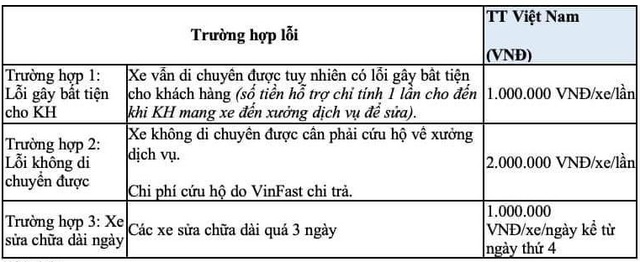 VinFast 'đền' 1 triệu đồng mỗi ngày cho khách có xe bị lỗi   - Ảnh 1.